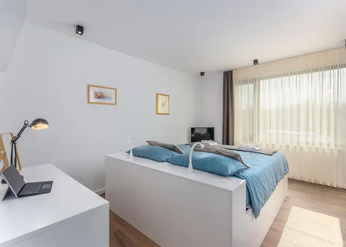 Paolo By Interhome * Novigrad Istria