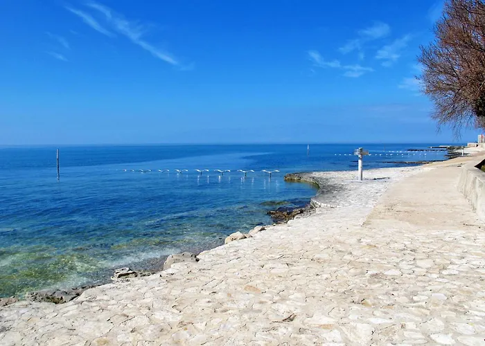 Villa Paolo By Interhome Novigrad Istria